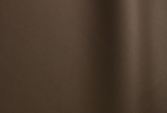 Nappa Leder 10066 | Natural leather | Futura Leathers