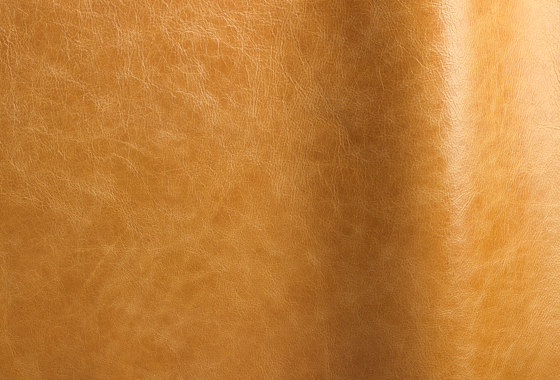 Pista Orange | Natural leather | Futura Leathers