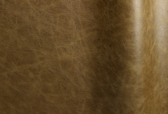 Pista Sage | Natural leather | Futura Leathers