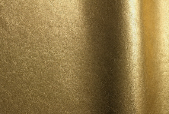 Premium Gold | Natural leather | Futura Leathers
