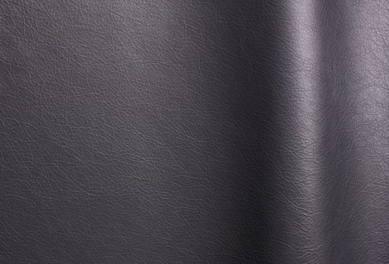 Premium Platinum | Cuero natural | Futura Leathers