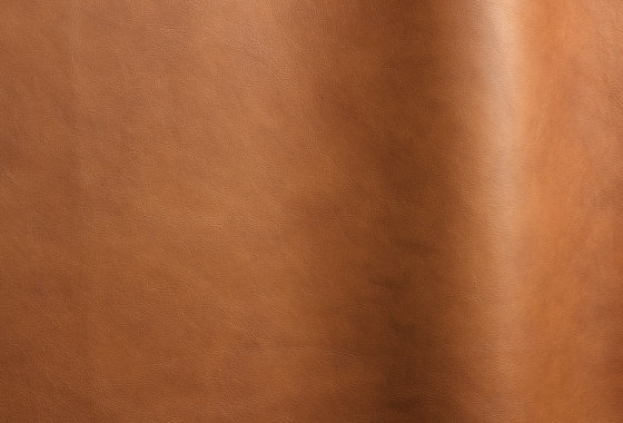 Ranch 7081 | Natural leather | Futura Leathers