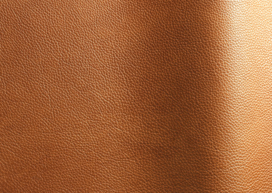 Reale 11020 | Vero cuoio | Futura Leathers