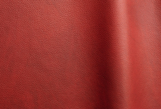 Reale 11050 | Cuero natural | Futura Leathers