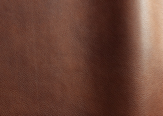 Reale 11056 | Natural leather | Futura Leathers