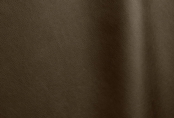 Reale 11070 | Cuero natural | Futura Leathers