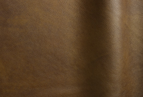 Reale 11078 | Natural leather | Futura Leathers