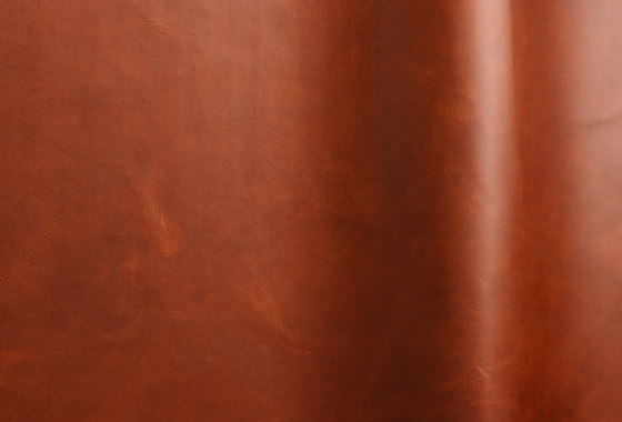 Selene 1810 | Natural leather | Futura Leathers
