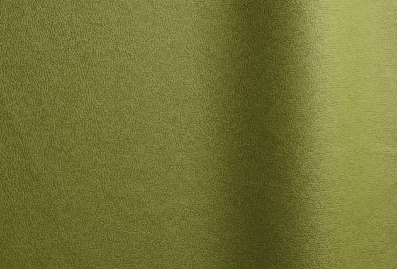 Sierra 104 | Natural leather | Futura Leathers