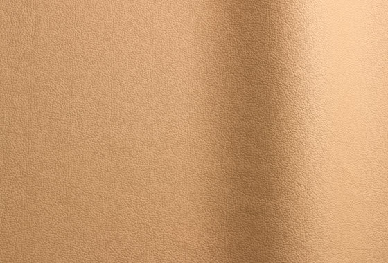 Sierra 123 | Natural leather | Futura Leathers