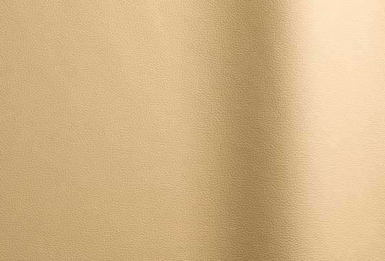 Sierra 136 | Natural leather | Futura Leathers