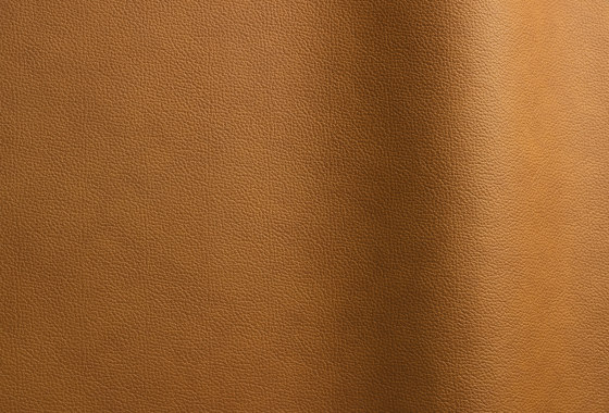 Sierra 2078 TT | Natural leather | Futura Leathers
