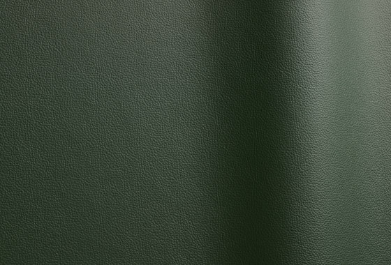 Sierra 301 | Natural leather | Futura Leathers
