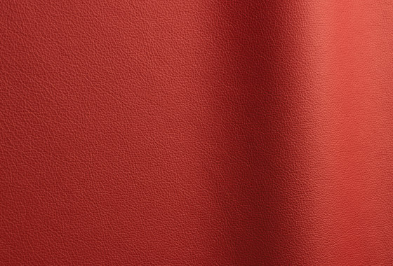 Sierra 304 | Natural leather | Futura Leathers