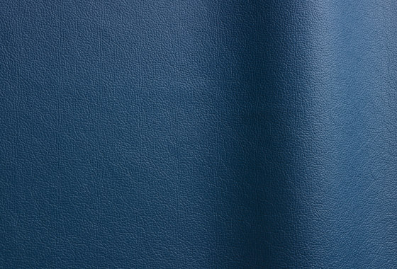 Sierra 307 | Natural leather | Futura Leathers