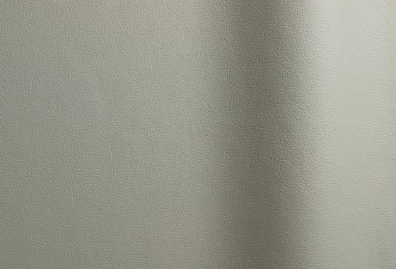 Sierra 316 | Natural leather | Futura Leathers