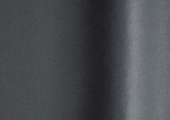 Sierra 323 | Natural leather | Futura Leathers