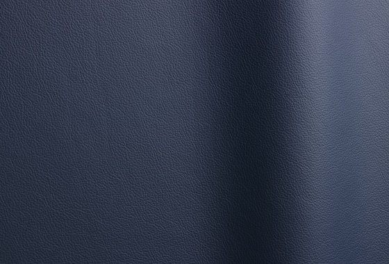 Sierra 344 | Natural leather | Futura Leathers