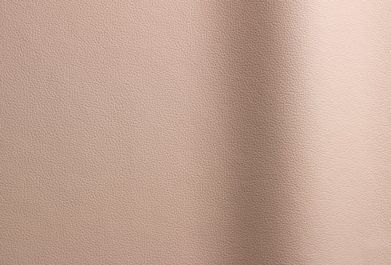 Sierra 360 | Natural leather | Futura Leathers