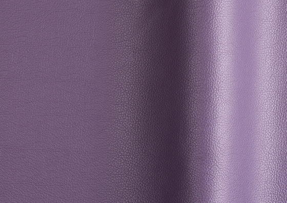 Sierra 366 | Natural leather | Futura Leathers