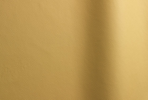 Sierra 367 | Natural leather | Futura Leathers