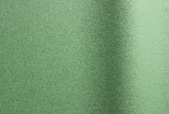 Sierra 398 | Natural leather | Futura Leathers