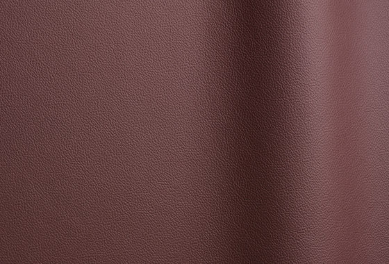 Sierra 4456 | Natural leather | Futura Leathers
