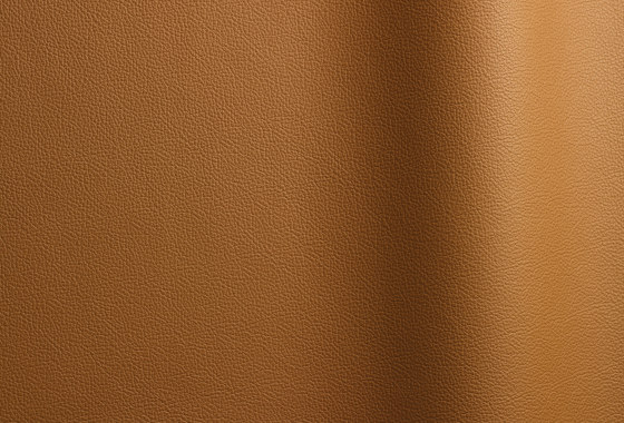 Sierra 4492 | Natural leather | Futura Leathers