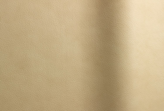 Sierra 5130 TT | Natural leather | Futura Leathers