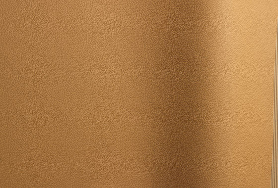 Sierra 677 | Natural leather | Futura Leathers