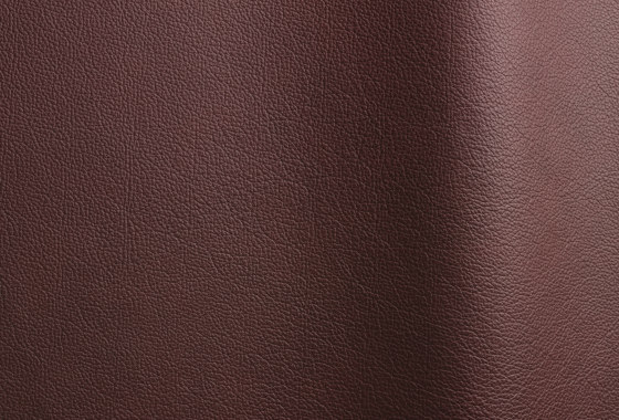 Sierra 9680 TT | Natural leather | Futura Leathers