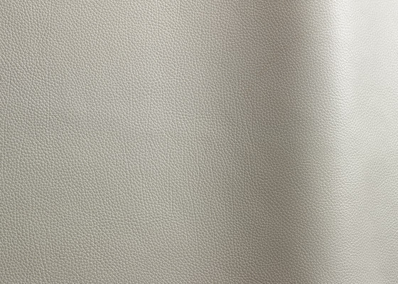 Tango 60200 | Natural leather | Futura Leathers