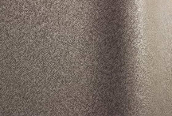 Tango 60220 | Natural leather | Futura Leathers