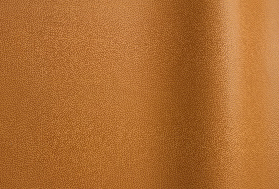 Tango 60230 | Natural leather | Futura Leathers