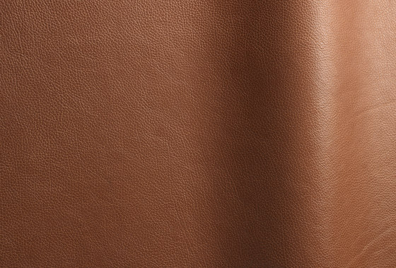 Tango 60240 | Natural leather | Futura Leathers