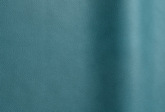 Tango 60250 | Natural leather | Futura Leathers