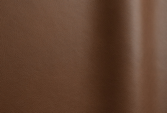 Tango 60260 | Natural leather | Futura Leathers
