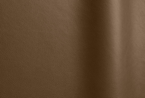 Tango 60270 | Natural leather | Futura Leathers