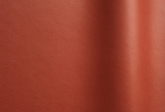 Tango 60280 | Natural leather | Futura Leathers