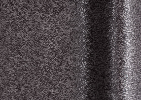 Tango 60300 | Natural leather | Futura Leathers