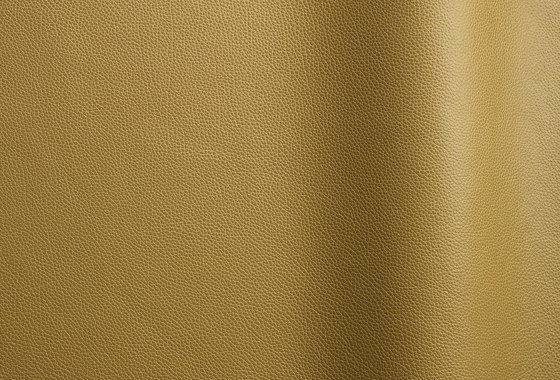 Tango 60410 | Natural leather | Futura Leathers