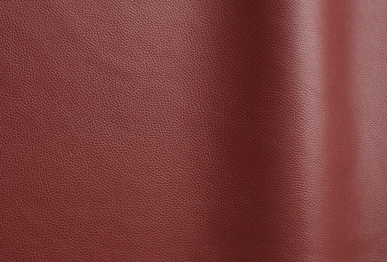 Tango 60430 | Natural leather | Futura Leathers