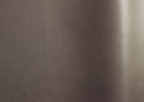 Tango 60460 | Natural leather | Futura Leathers