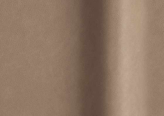 Touché 02022 | Natural leather | Futura Leathers