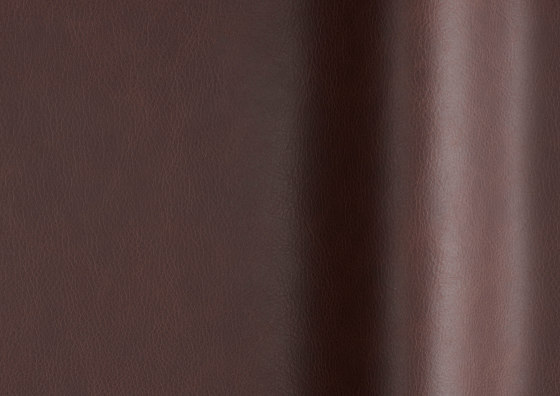 Touché 02034 | Natural leather | Futura Leathers