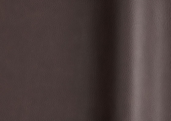 Touché 02046 | Natural leather | Futura Leathers