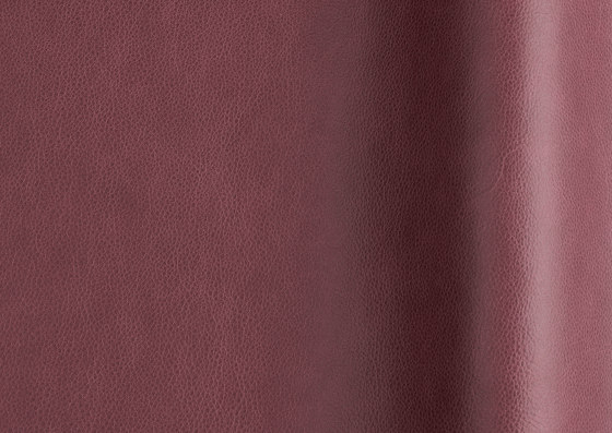 Touché 02052 | Natural leather | Futura Leathers