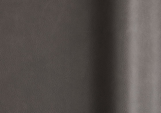 Touché 02078 | Natural leather | Futura Leathers
