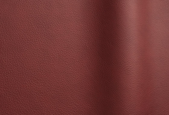 Wind 4102 TT | Natural leather | Futura Leathers