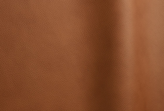 Wind 4106 TT | Cuir naturel | Futura Leathers